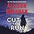 Cut and Run (Lucy Kincaid, #16)