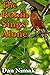 The Robin Sings Alone by Dan Nimak