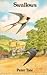 Swallows by Peter Tate