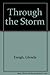 Through The Storm: Comfort and Assurance for the Storms of Life