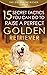 Golden Retriever: 15 Secret...