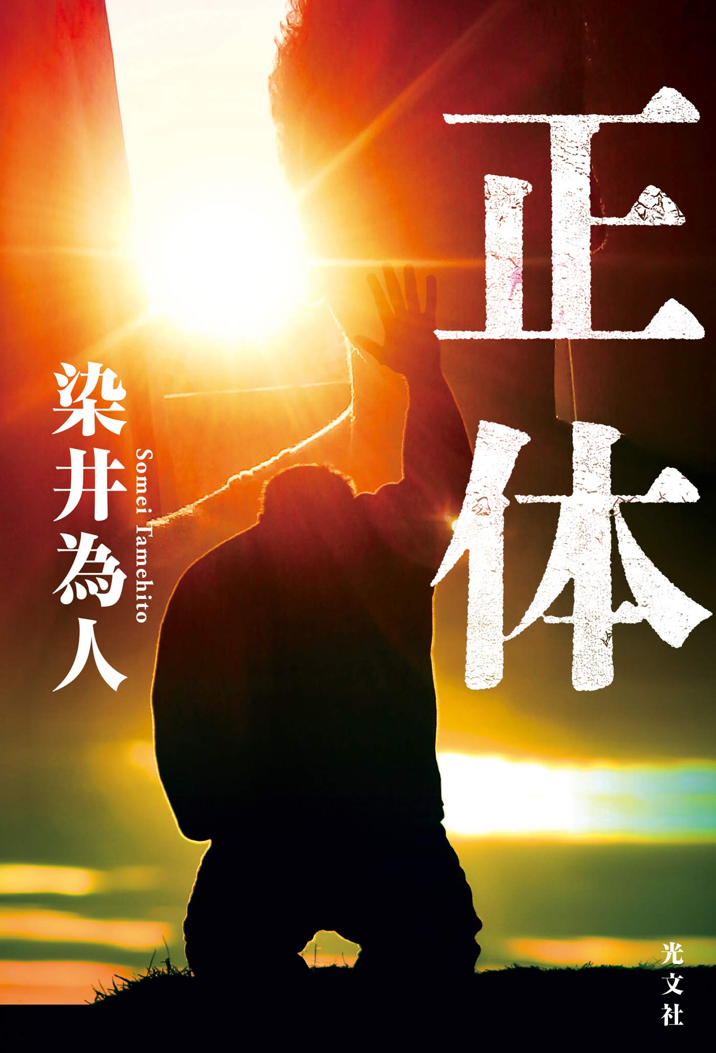 正体 (Kindle Edition)