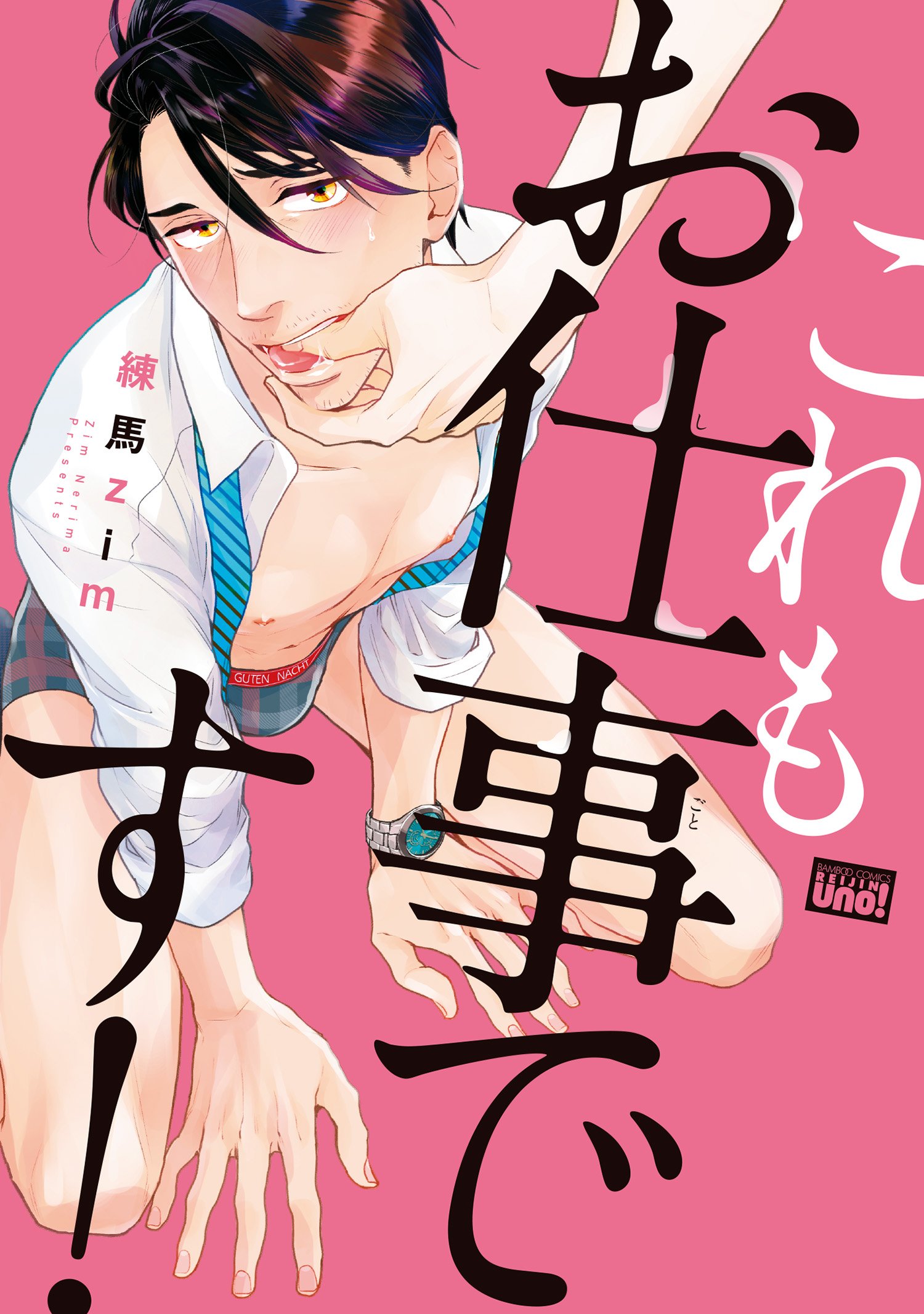 これもお仕事です！ [Kore mo Oshigoto desu!] (Paperback)
