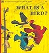What is a Bird?