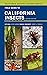 Field Guide to California Insects