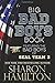 Big Bad Boys Book: Bad Boys of SEAL Team 3, Books 1-3