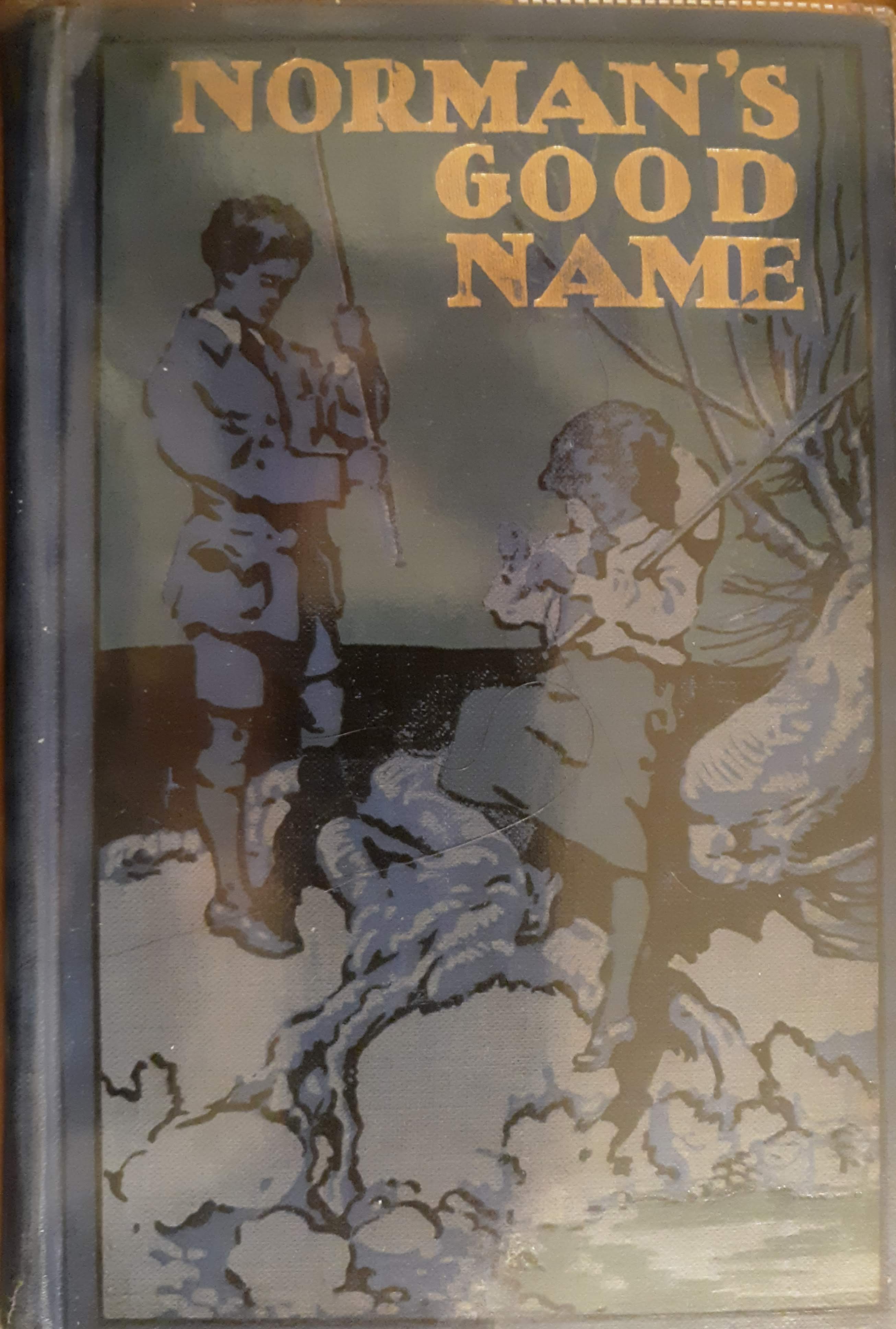 Norman's Good Name (Hardcover)