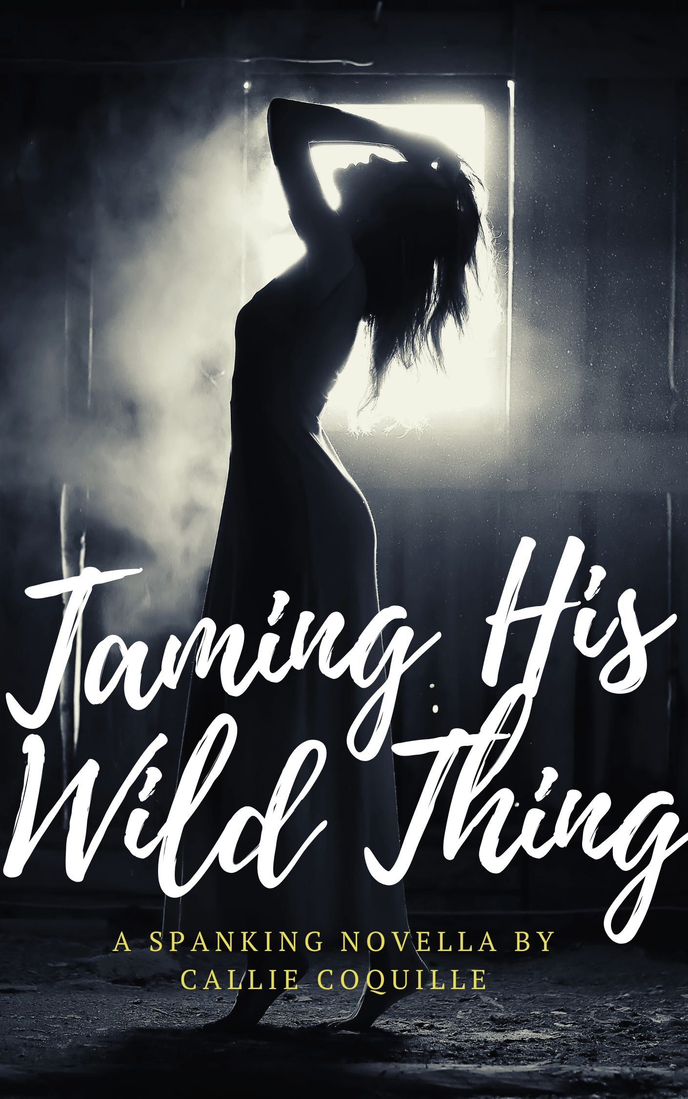 Taming His Wild Thing: A Spanking Romance Novella (Kindle Edition)