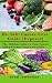 Dr. Sebi Cancer Cure Guide {Exposed} by Sonal Tambwekar