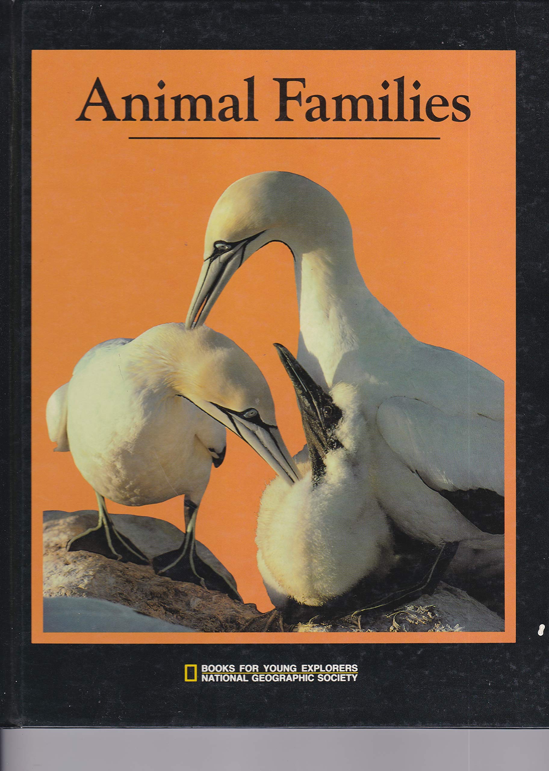 Animal Families (Books for Young Explorers)