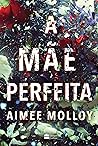 A mãe perfeita