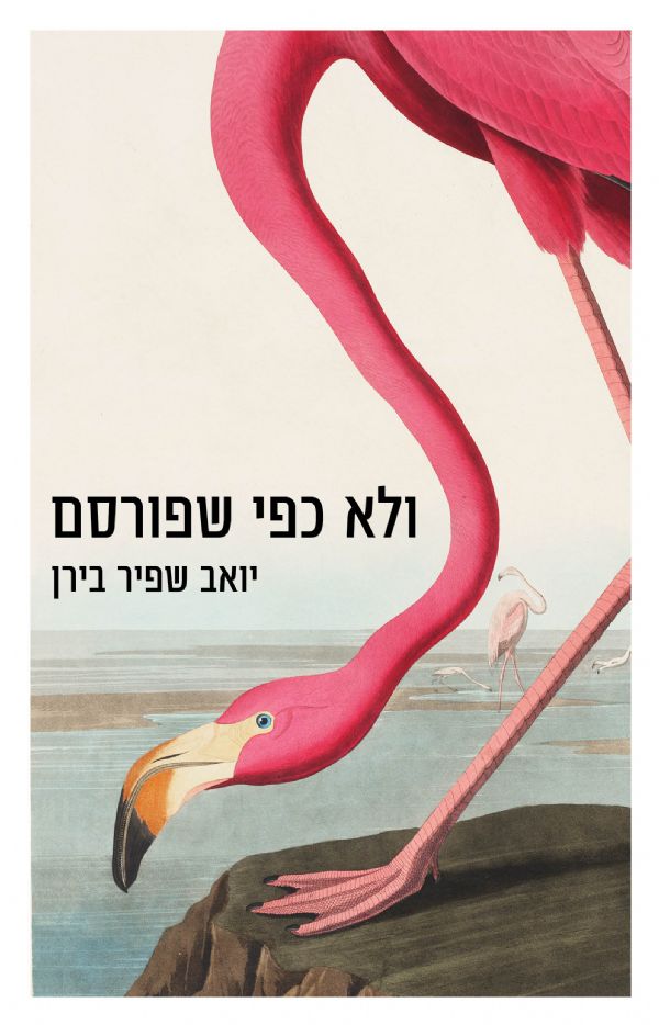 ולא כפי שפורסם (Mass Market Paperback)