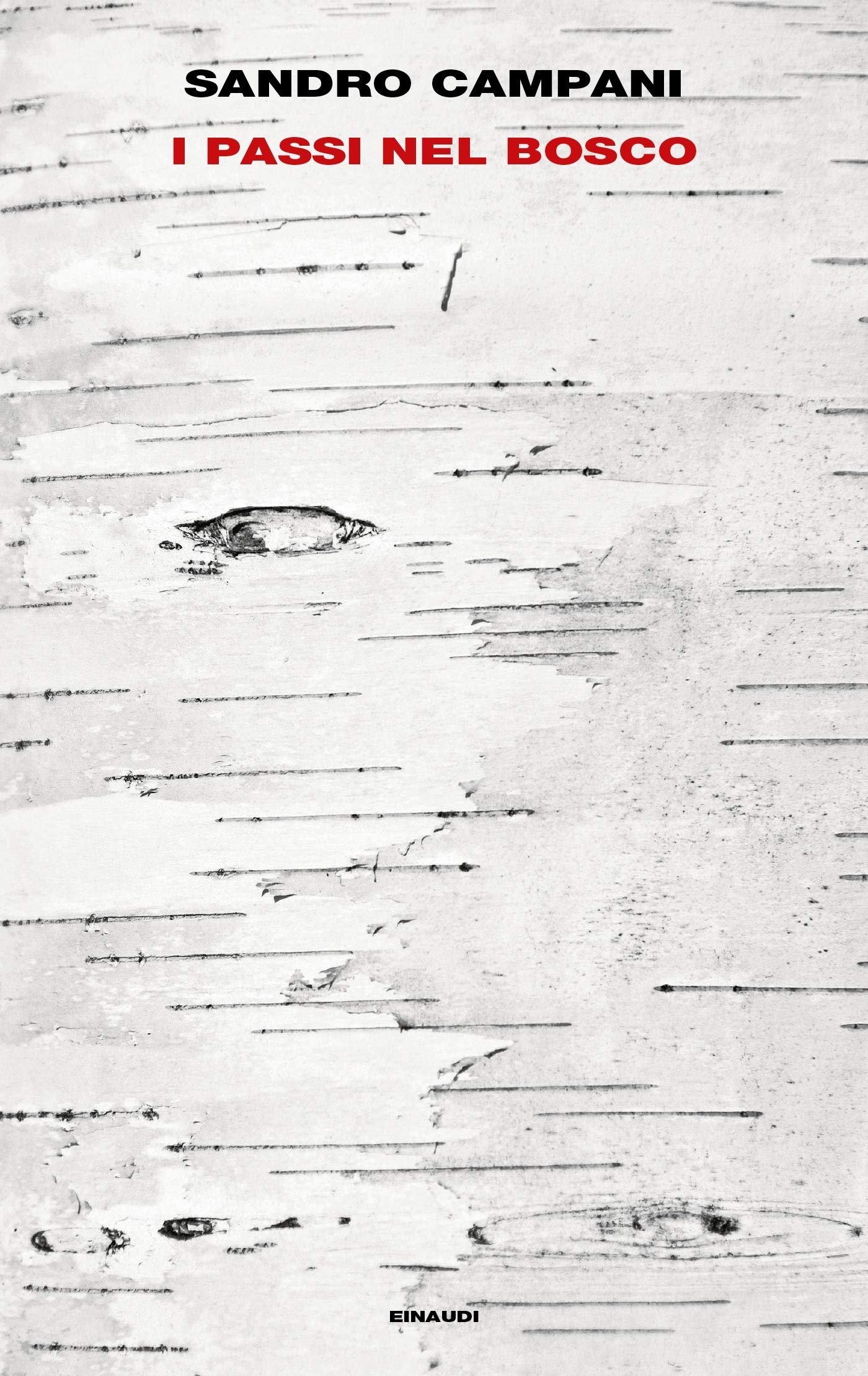 I passi nel bosco (Hardcover)