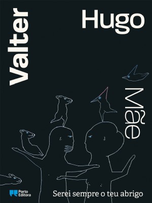 Serei sempre o teu abrigo (Hardcover)