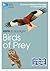 Rspb Id Spotlight - Birds o...
