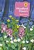 Woodland Flowers: Colourful Past, Uncertain Future