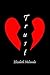 Trust by Elizabeth Holcombe