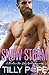 Snow Storm: A Mountain Man Baby Daddy Romance