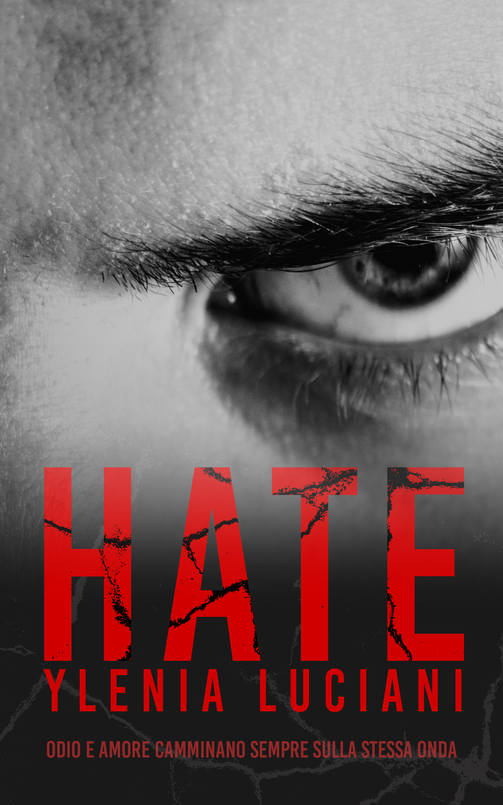 Hate (ebook)