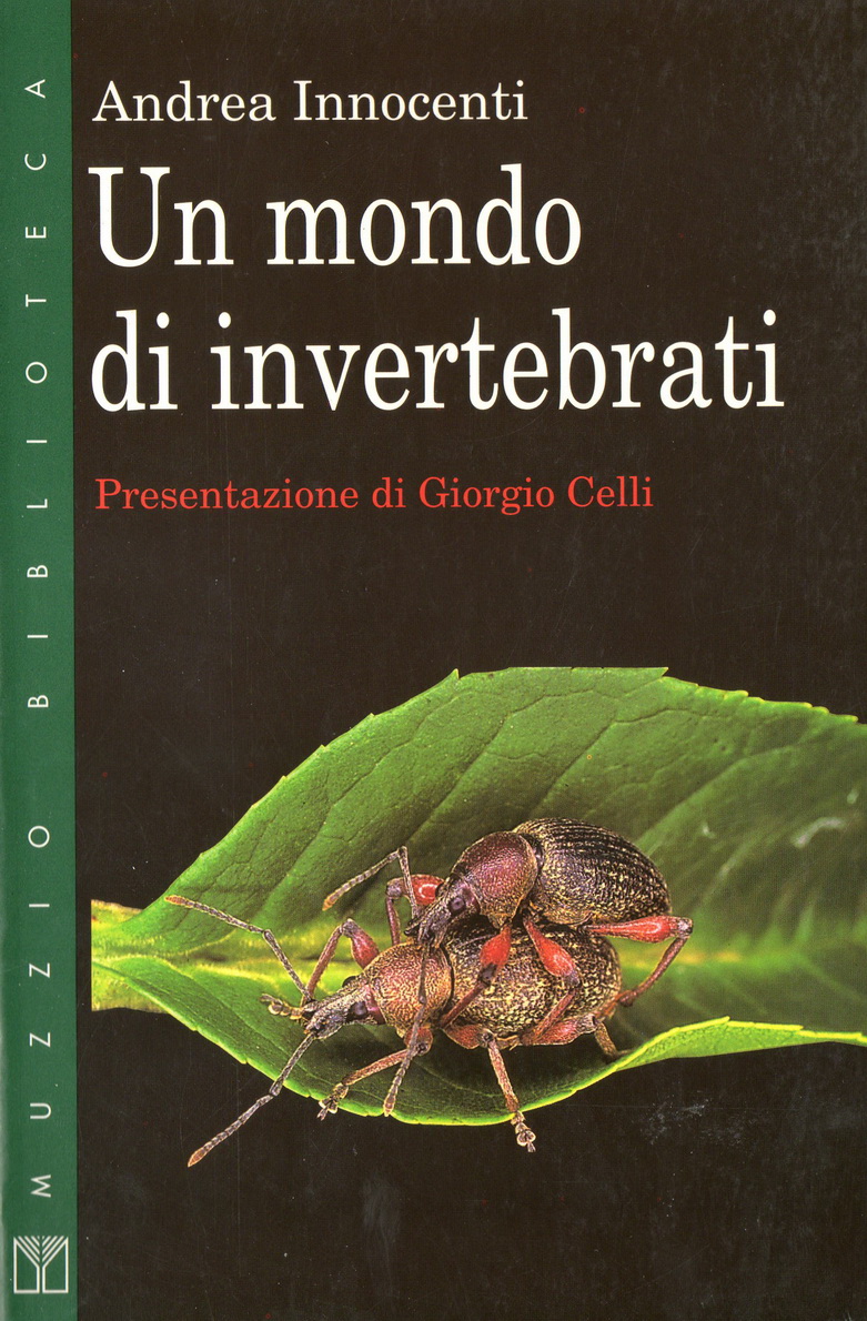 Un mondo di invertebrati (Paperback)