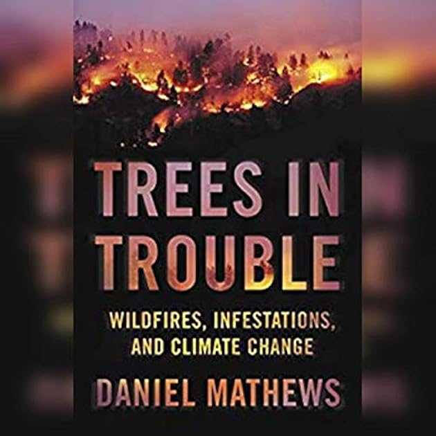 Trees in Trouble: Wildfires, Infestations, and Climate Change
