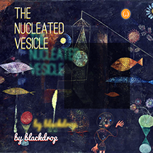 The Nucleated Vesicle
