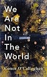 We Are Not in the World