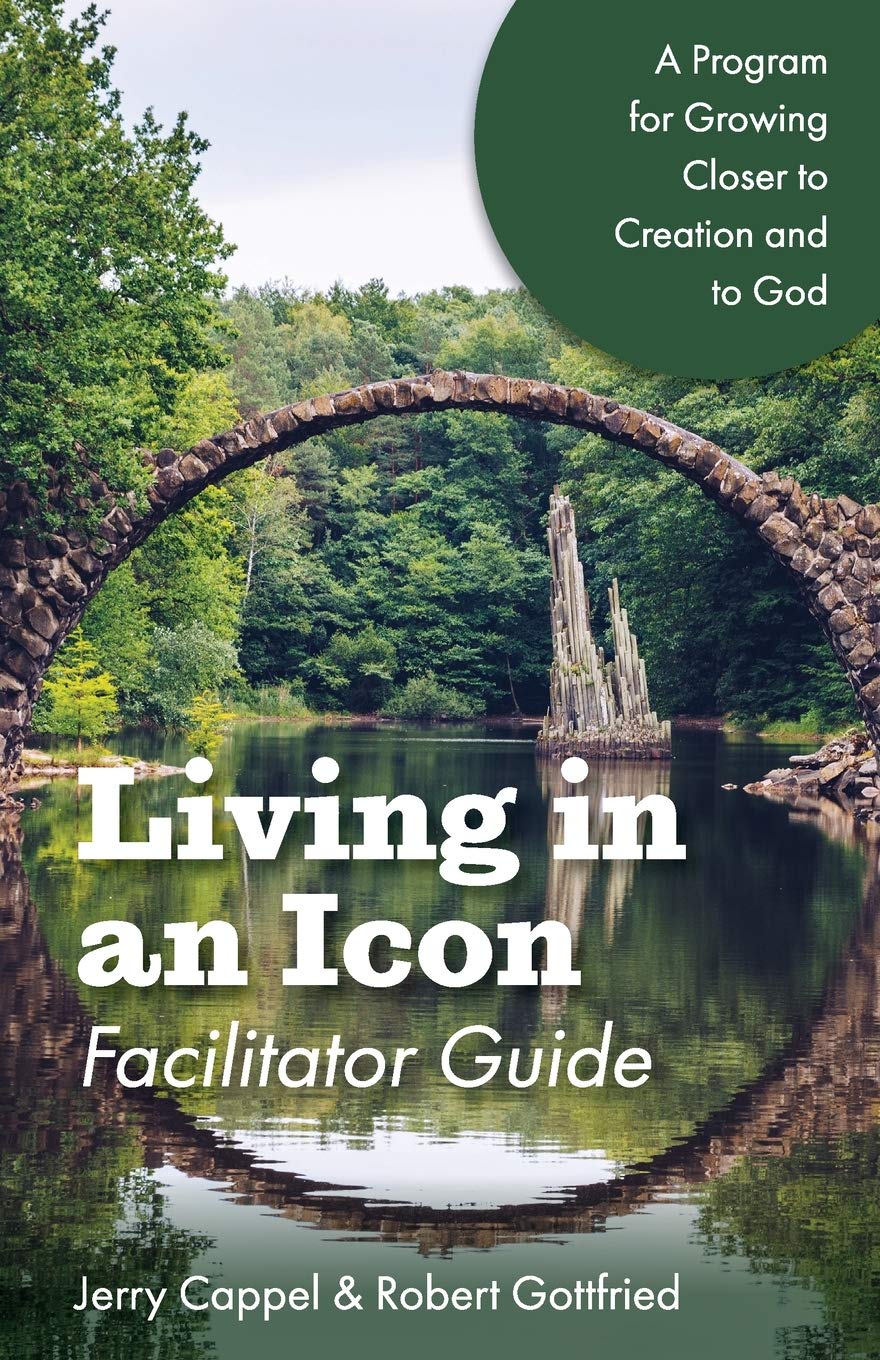 Living in an Icon - Facilitator Guide: Growing Closer to Nature and Closer to God (Paperback)