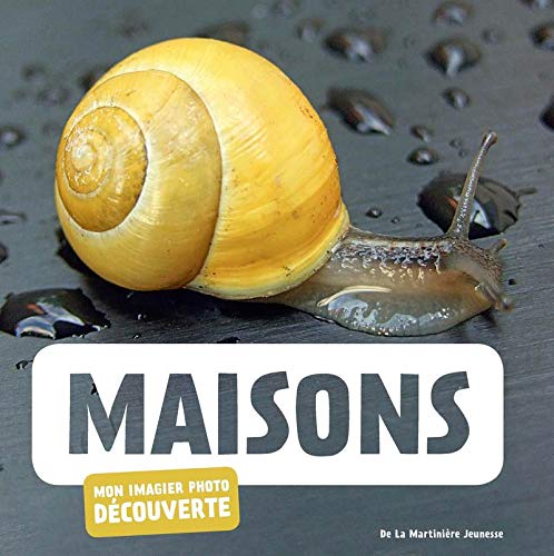 Maisons (Hardcover)