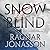 Snowblind (Dark Iceland, #1)