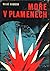 Moře v plamenech