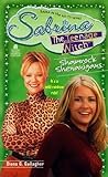 Shamrock Shenanigans (Sabrina the Teenage Witch, #19)