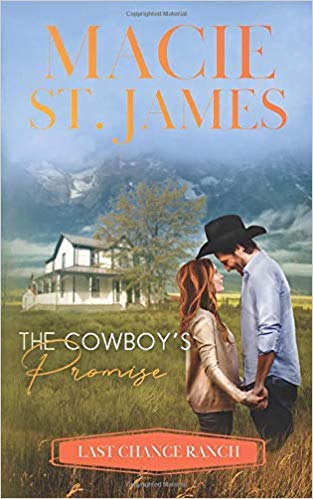 The Cowboy's Promise (Last Chance Ranch, #1)