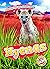 Hyenas (Animals of the Gras...