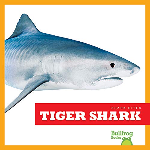 Tiger Shark (Bullfrog Books: Shark Bites)