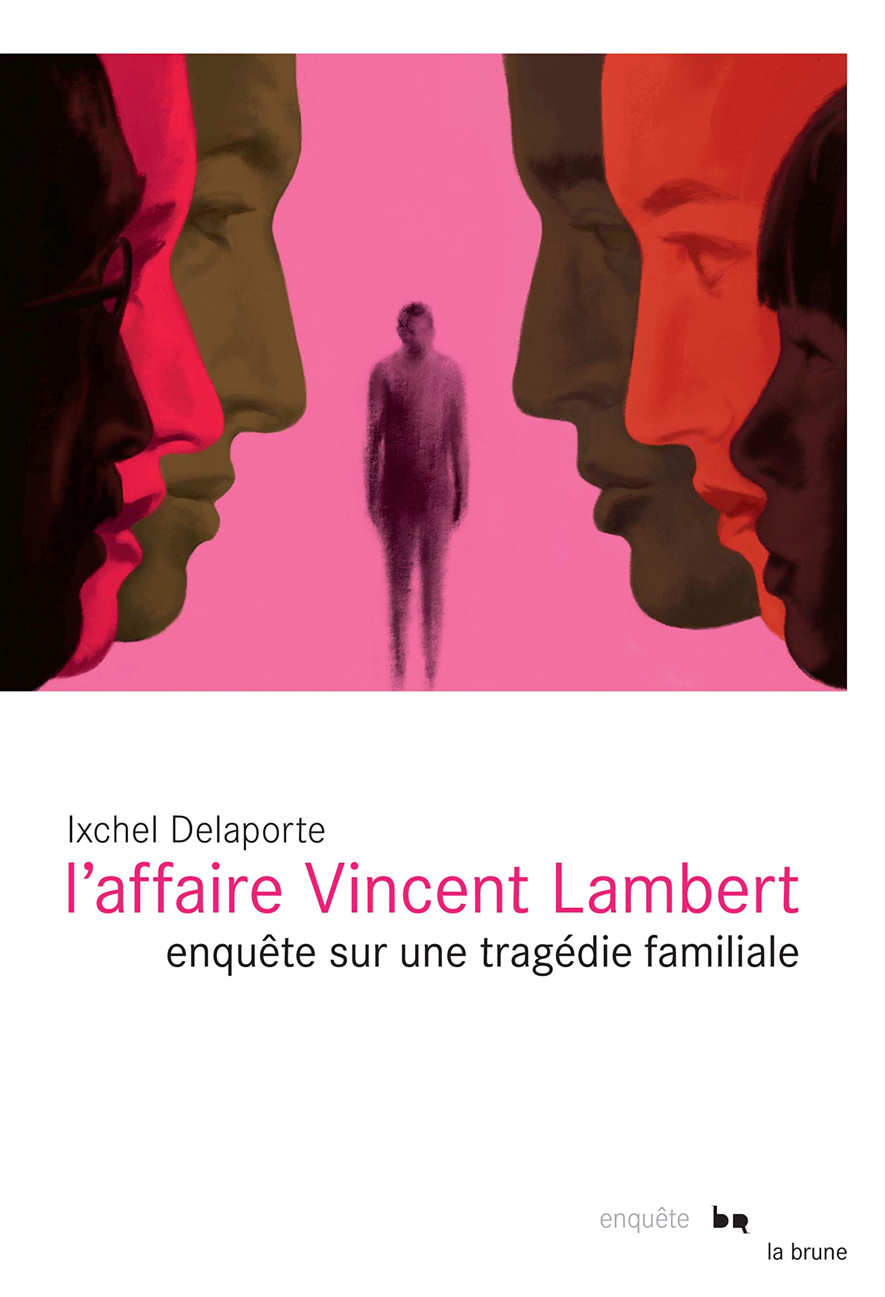 L'affaire Vincent Lambert: Enquête sur une tragédie familiale (French Edition)