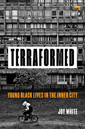 Terraformed: Young Black Lives In The Inner City (Paperback)