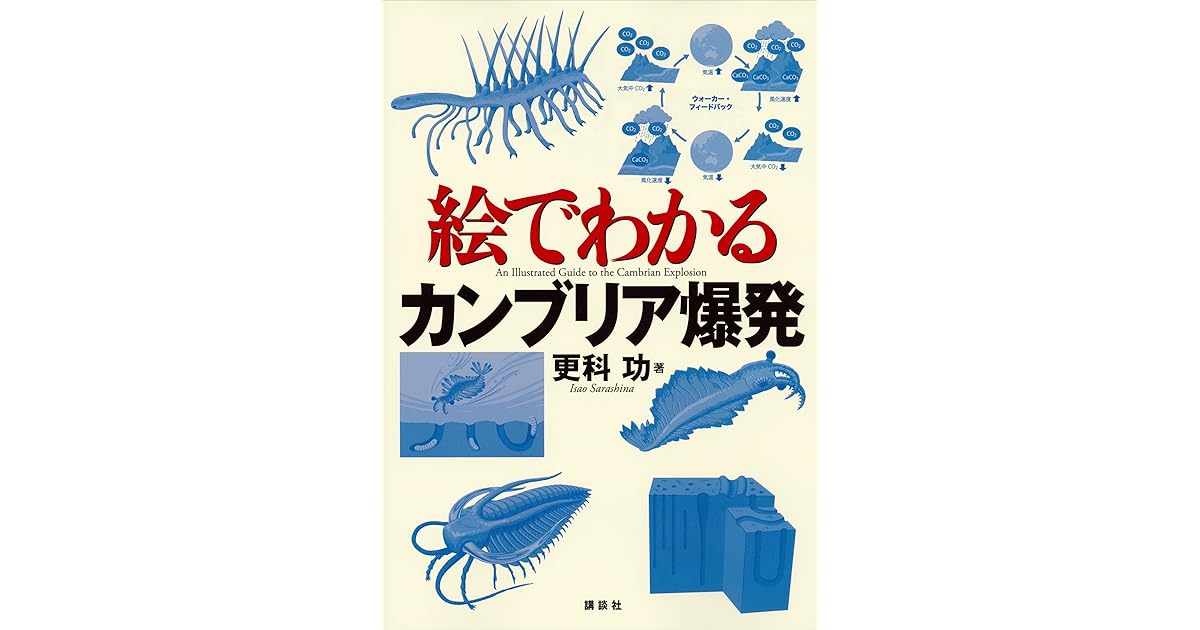 絵でわかるカンブリア爆発 By 更科功