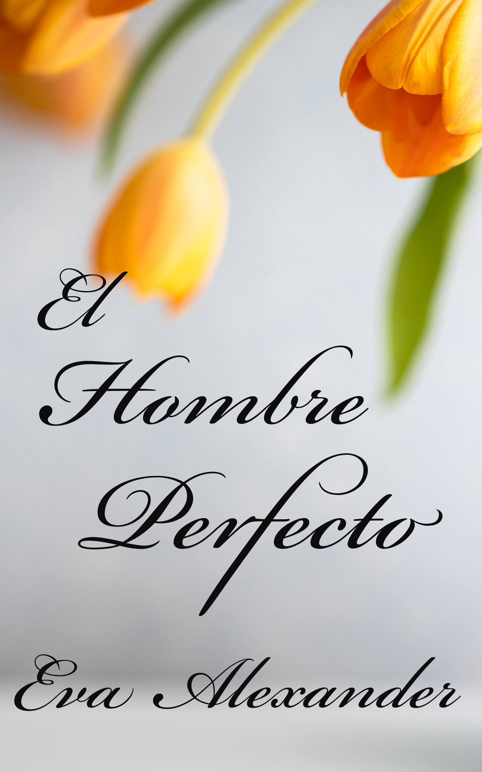 El hombre perfecto (El pacto #1)