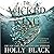 The Wicked King (The Folk o...