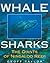 Whale Sharks by Geoff Taylor