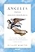 Ángeles para principiantes: Una guía para entender a nuestros guardianes divinos y contactar con ellos (Spanish Edition)