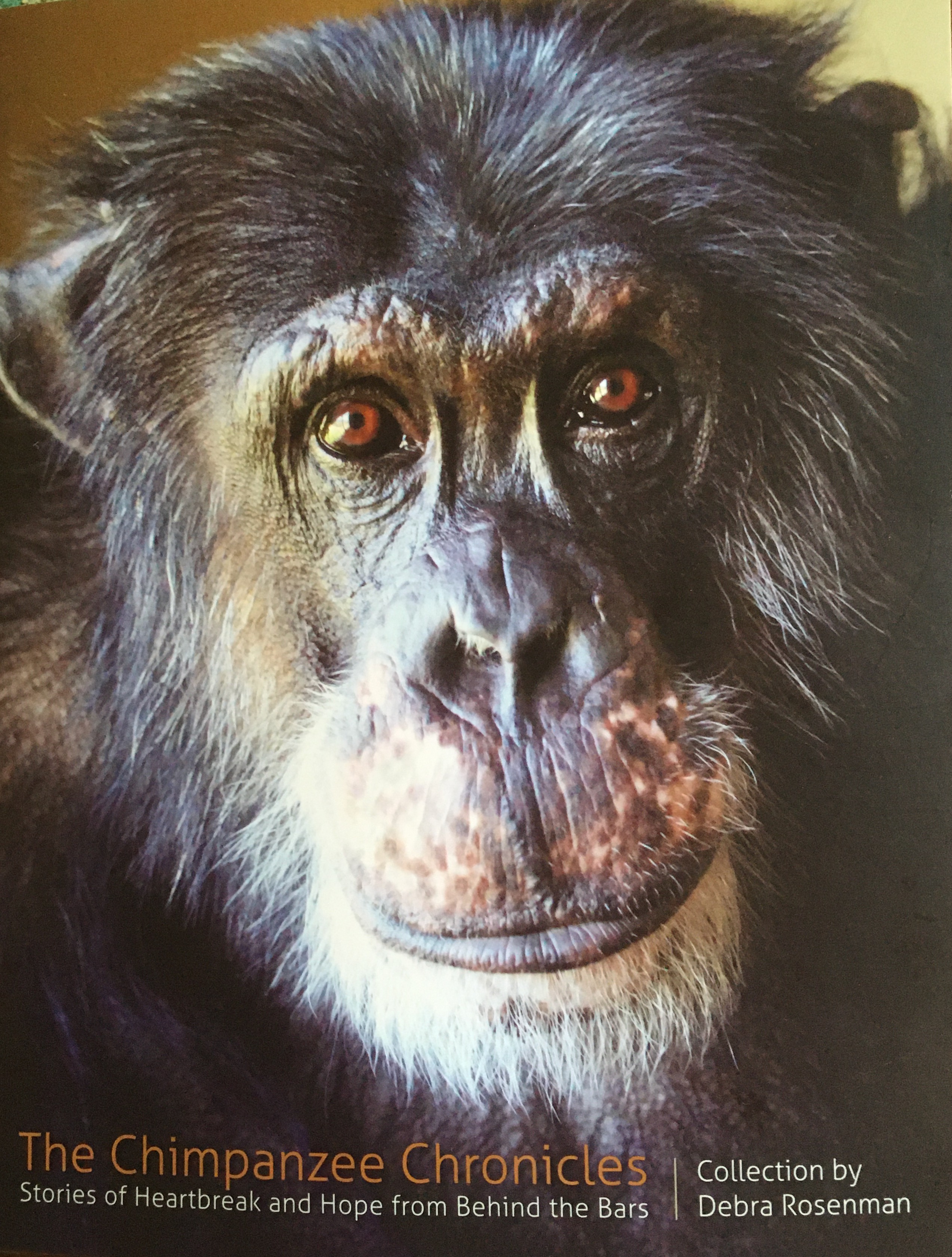 The Chimpanzee Chronicles: Stories of Heartbreak and Hope from Behind the Bars (Paperback)