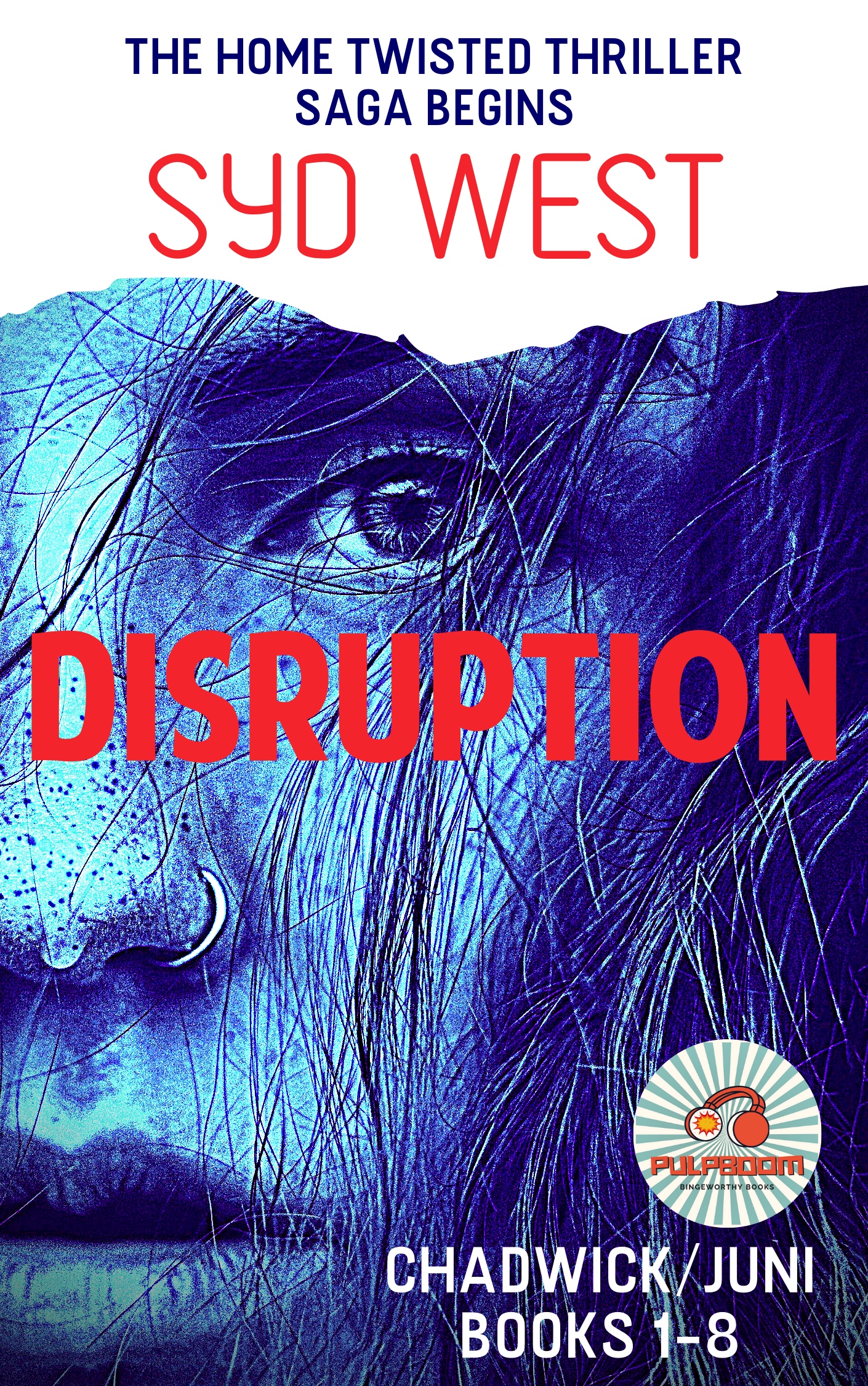 Disruption - The Home Twisted Thriller Saga Begins (Chadwick/Juni Books 1-8) by Syd West