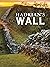 Hadrian's Wall (Raintree Perspectives:)