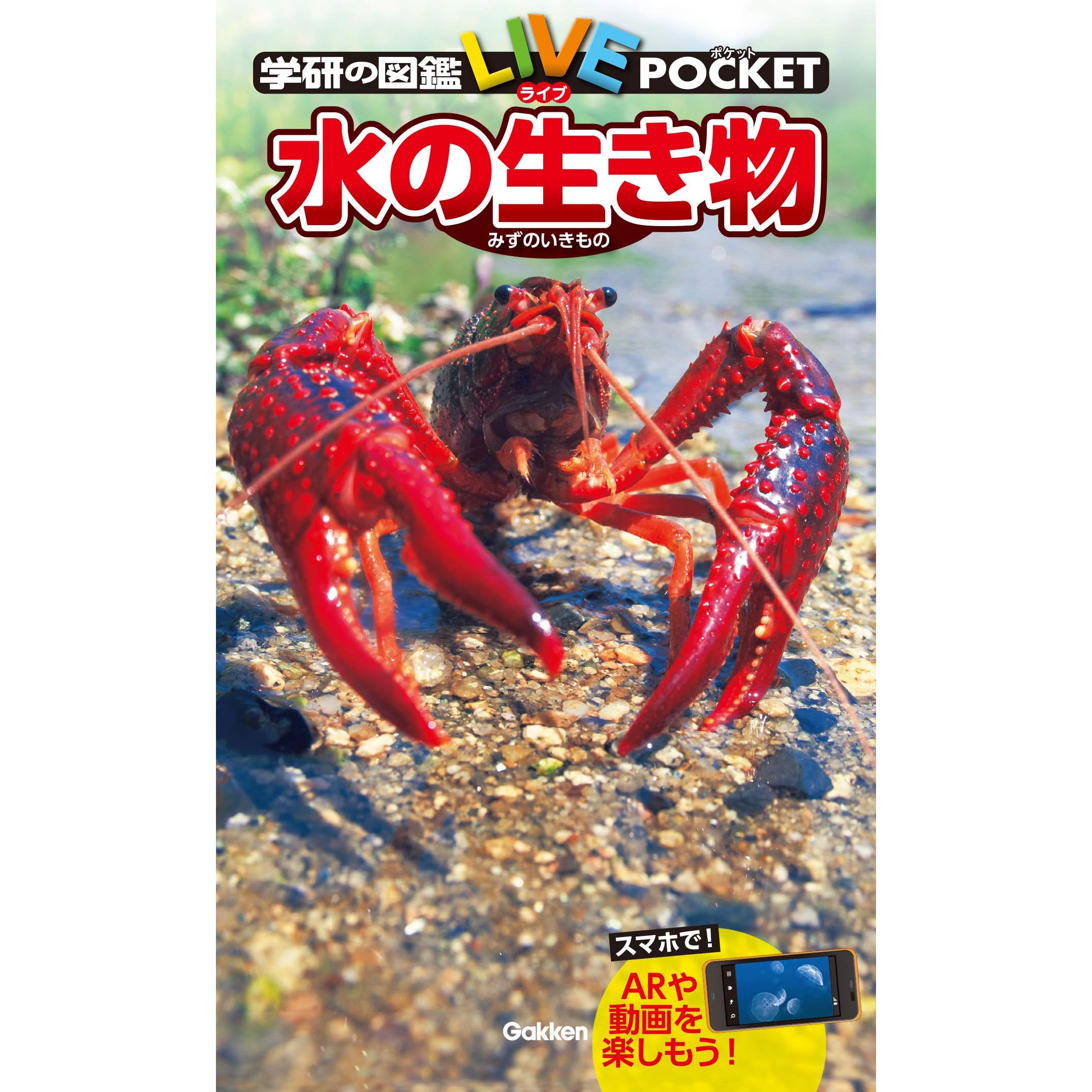 学研の図鑑ｌｉｖｅ ライブ ポケット13 水の生き物 By 武田 正倫