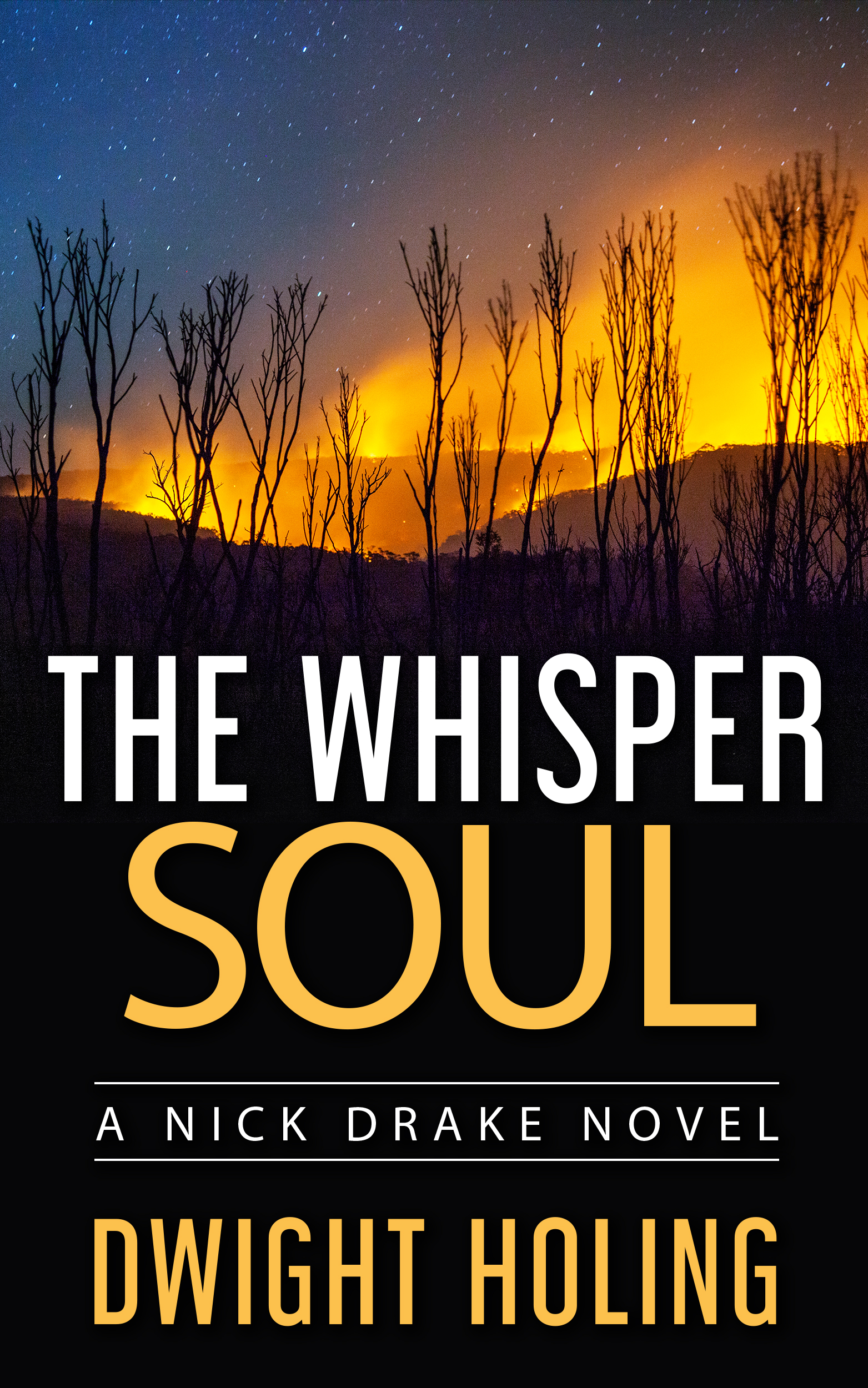 The Whisper Soul (Nick Drake #4)