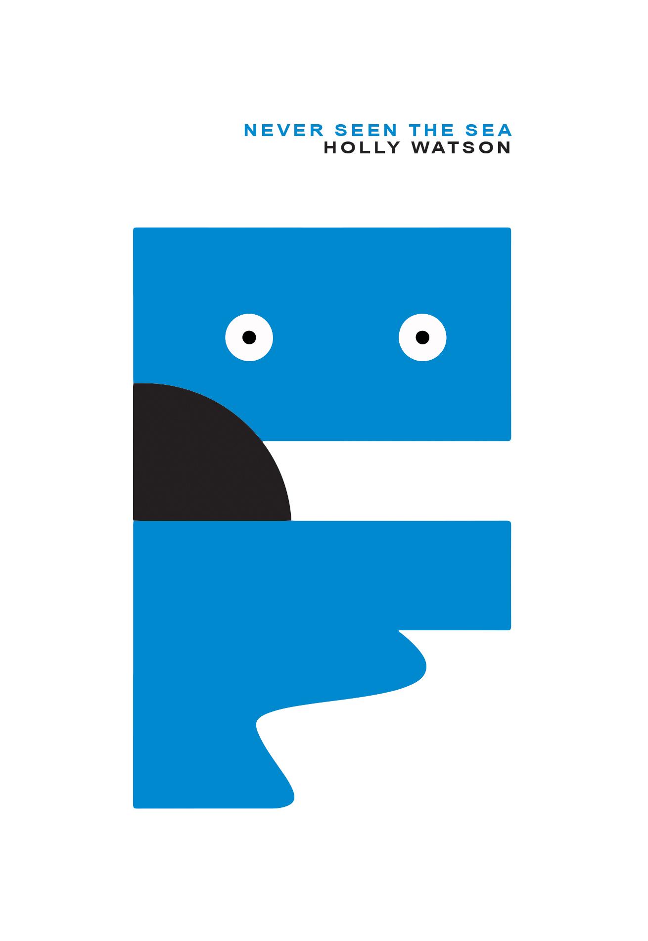 Never Seen The Sea (Paperback)