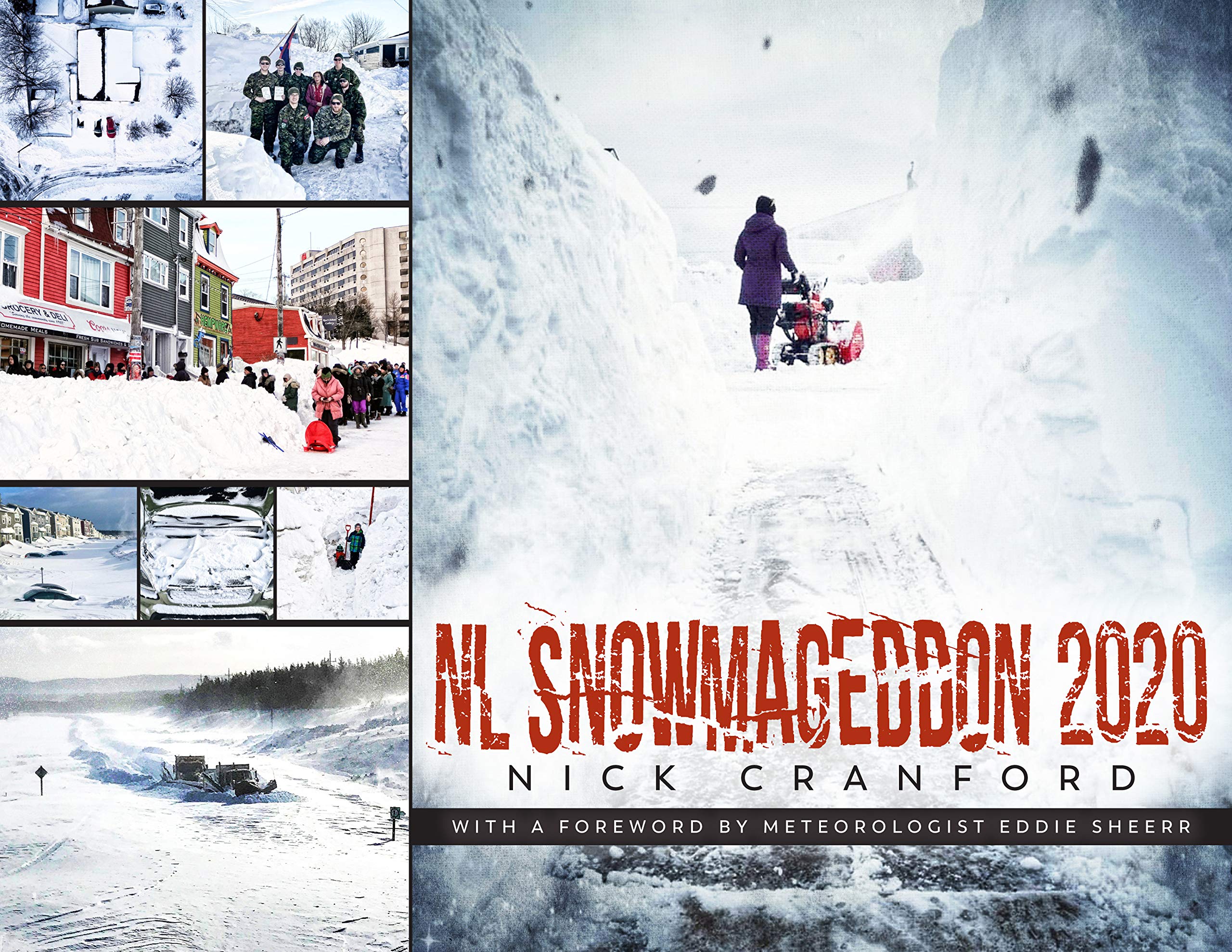 NL Snowmageddon 2020 (Paperback)