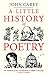 A Little History of Poetry (Little Histories)